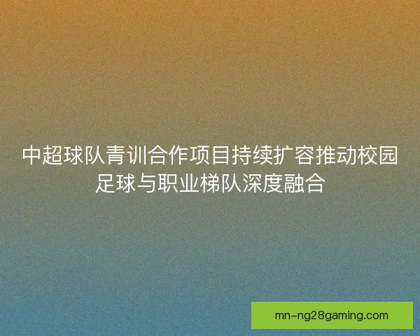 中超球队青训合作项目持续扩容推动校园足球与职业梯队深度融合